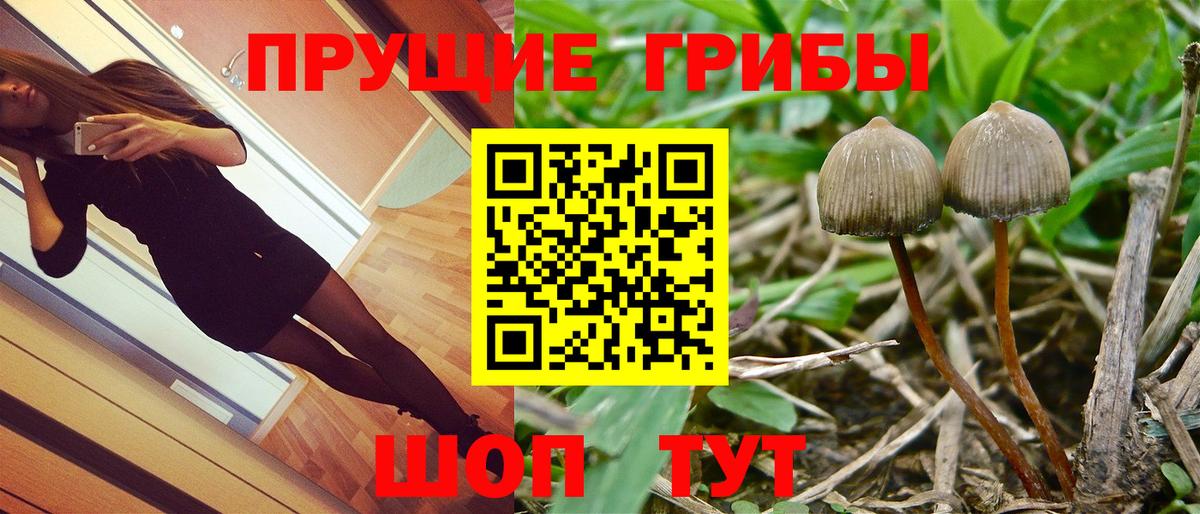 Псилоцибиновые грибы прущие грибы Протвино
