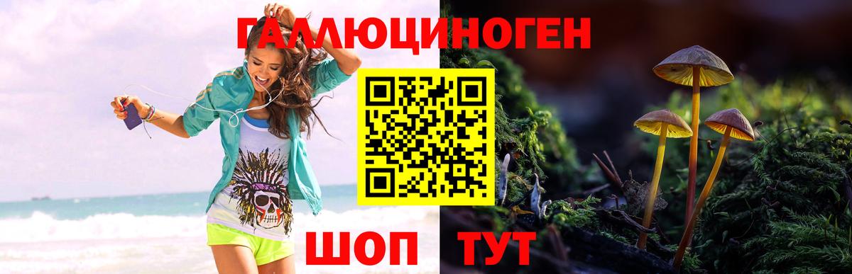 Протвино  Галлюциногенные грибы прущие грибы  Вход с VPN 